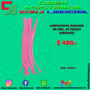 LIMPIAPIPAS ROSADA 30 CMS. 20 PIEZAS (UNIDAD)