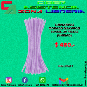 LIMPIAPIPAS MORADO MACARON 30 CMS. 20 PIEZAS (UNIDAD)