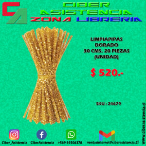 LIMPIAPIPAS DORADO 30 CMS. 20 PIEZAS (UNIDAD)