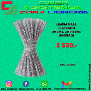 LIMPIAPIPAS PLATEADO 30 CMS. 20 PIEZAS (UNIDAD)